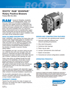 pdf-thumb-s19d97-ramJspec