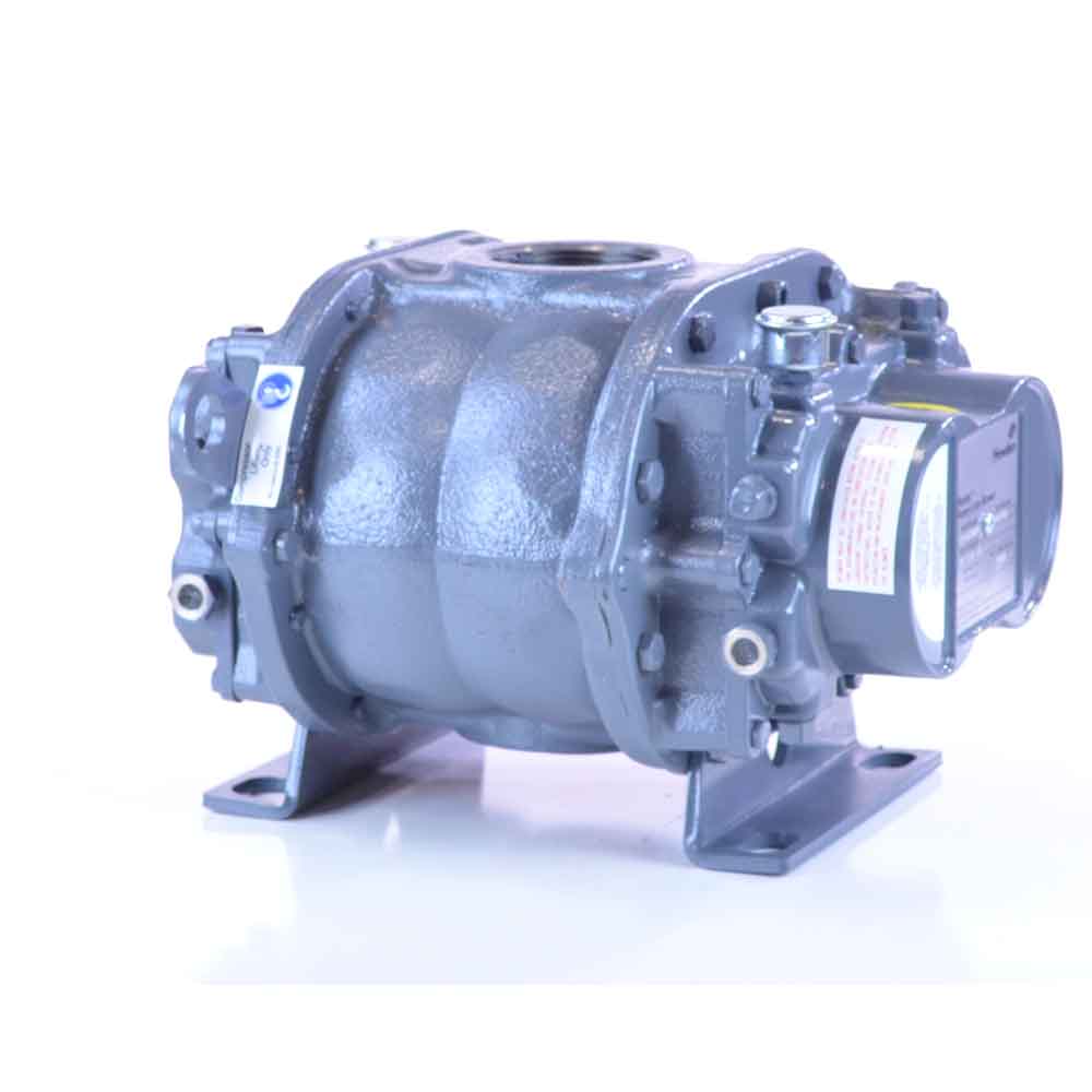 36 Universal RAI® DSL Rotary Positive Displacement Blower