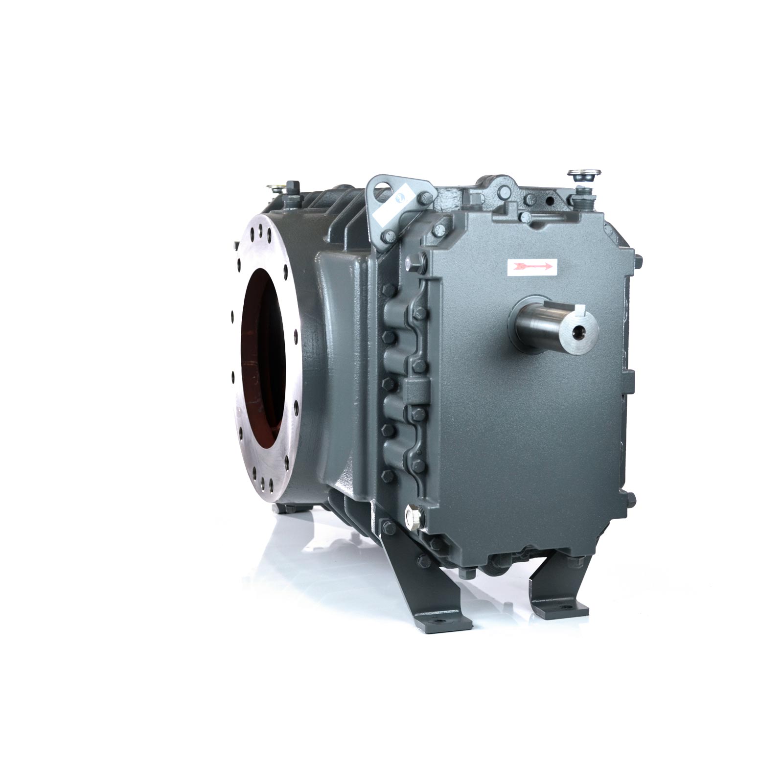 Roots 624 RAM-VJ Water Sealed Vacuum Pump