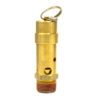 56469-pressure-relief-valve-brass