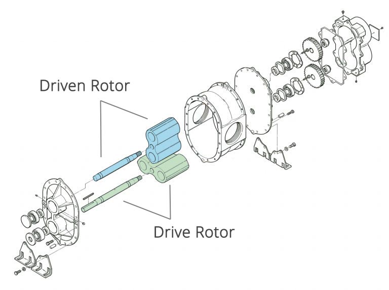 Blower diagram - Driven and Drive Rotors highlighted